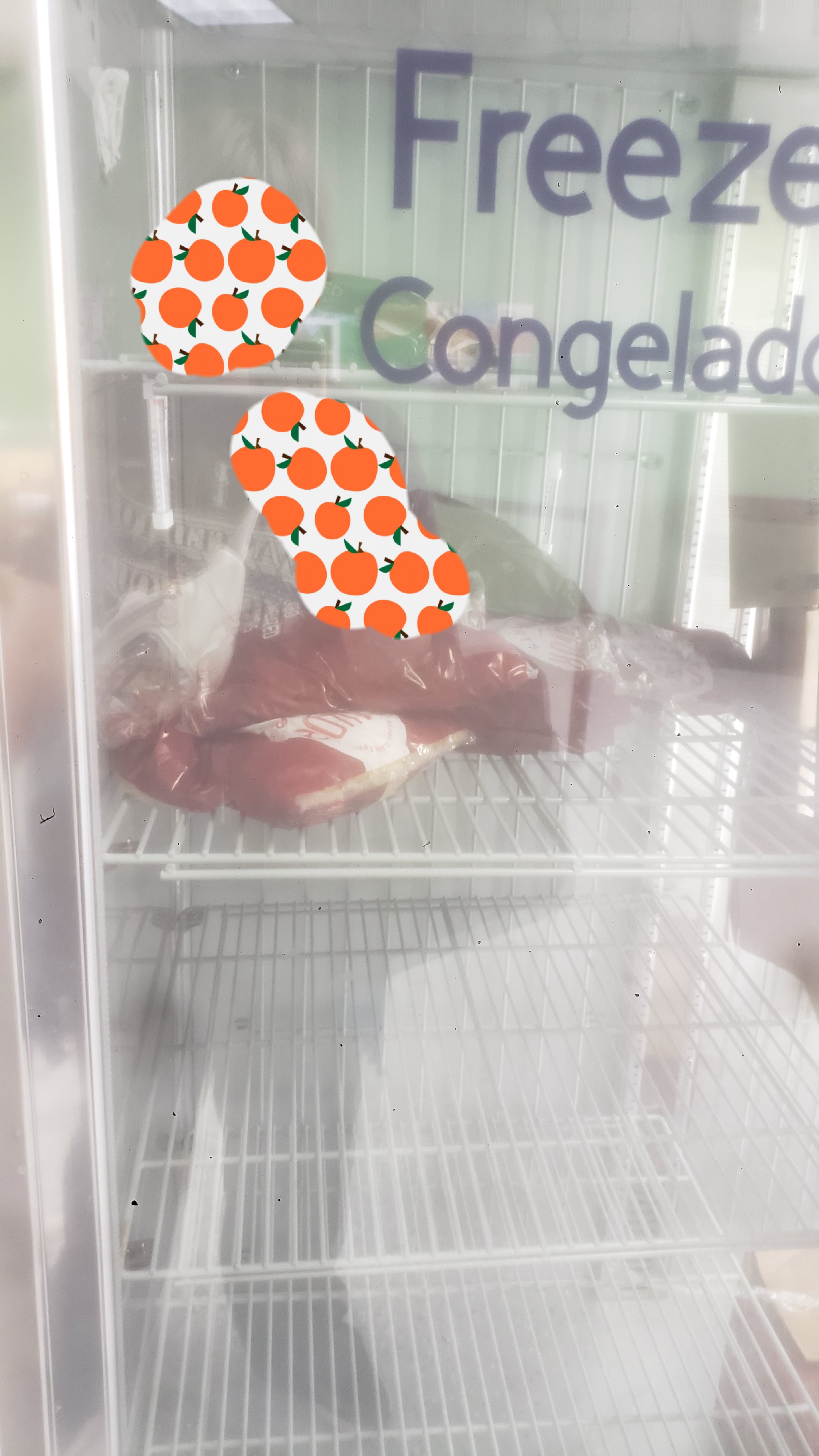 Bags of mysterious items on two shelves of a freezer.